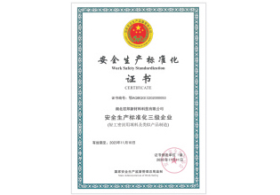 國(guó)家安全生產(chǎn)標(biāo)準(zhǔn)化企業(yè)